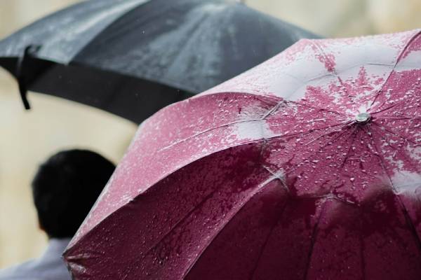 EO-Insurance-for-Home-Inspectors-1